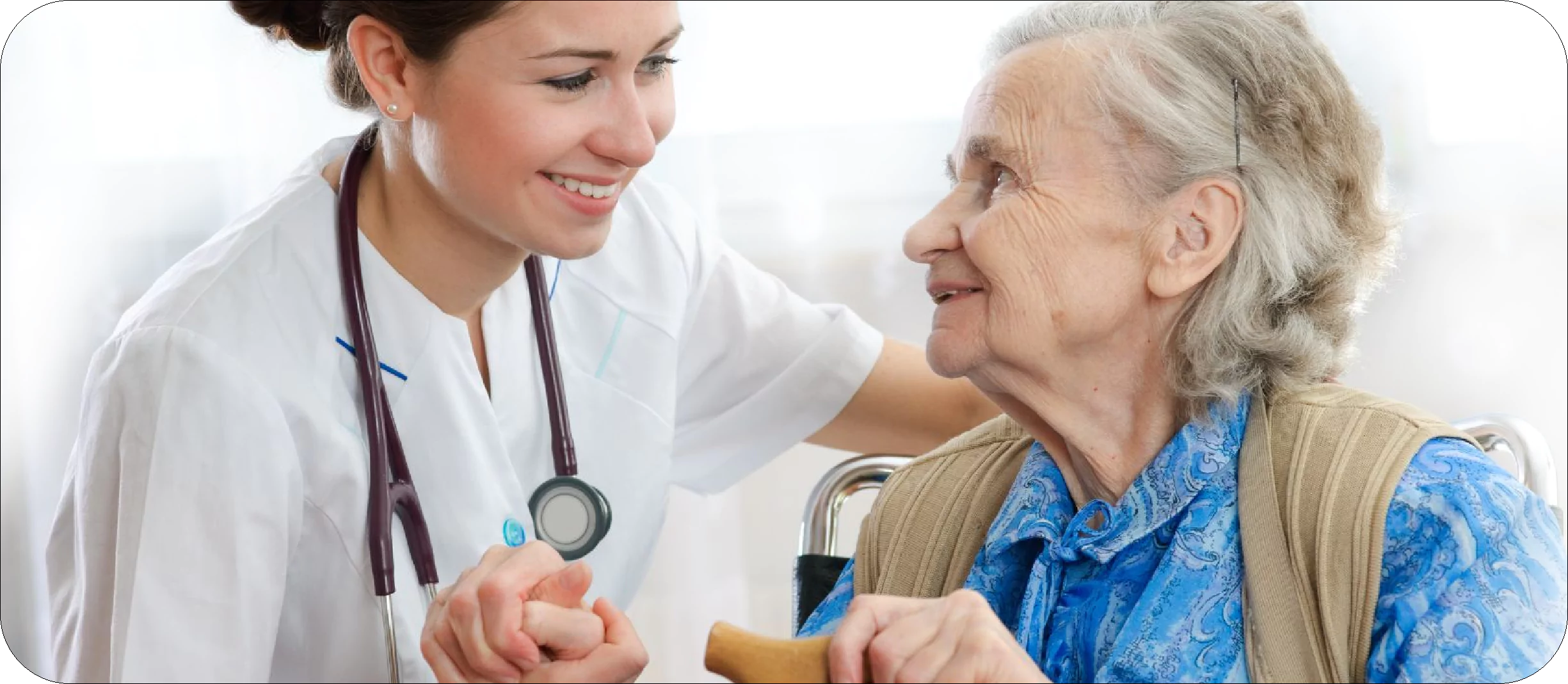 MEET YOUR FAMILY DOCTOR 1