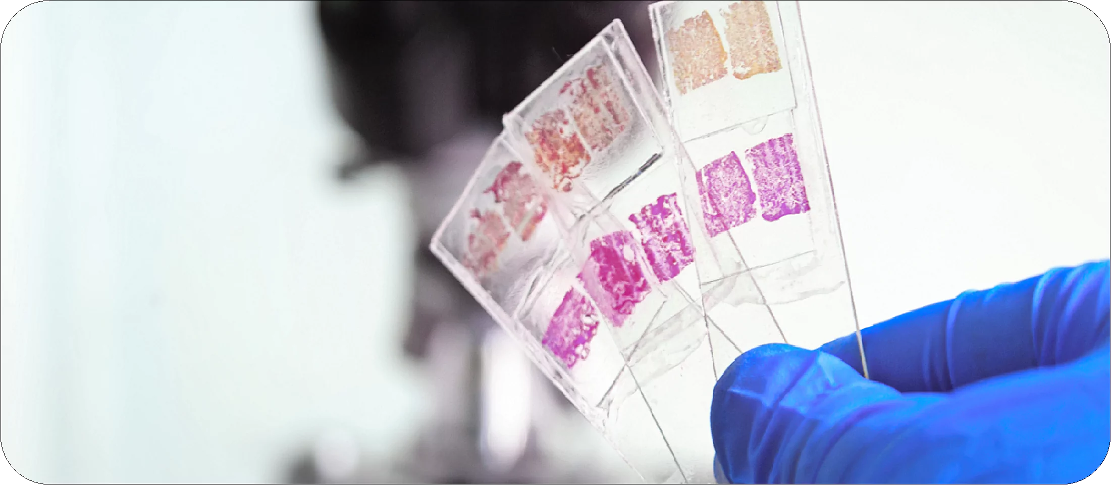 TESTS & PROCEDURES 2